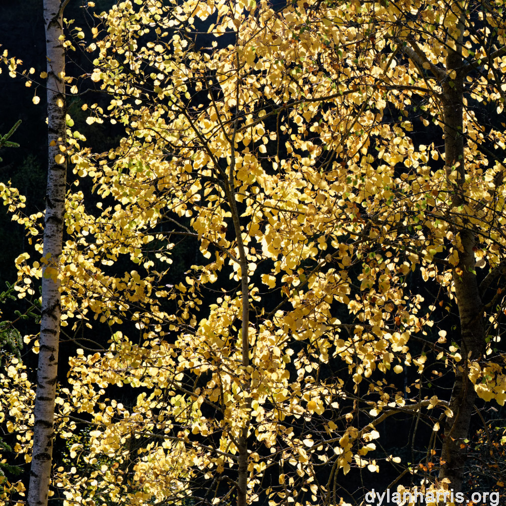 image: This is &lsquo;rumelange 8&rsquo;.