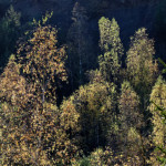 image: Image from the photoset &lsquo;rumelange (xxiii)&rsquo;.