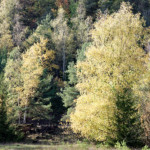 image: Image from the photoset &lsquo;rumelange (xxiii)&rsquo;.