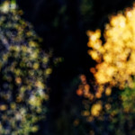 image: Image from the photoset &lsquo;rumelange (xxiii)&rsquo;.