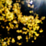 image: Image from the photoset &lsquo;rumelange (xxiii)&rsquo;.