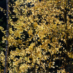 image: Image from the photoset &lsquo;rumelange (xxiii)&rsquo;.