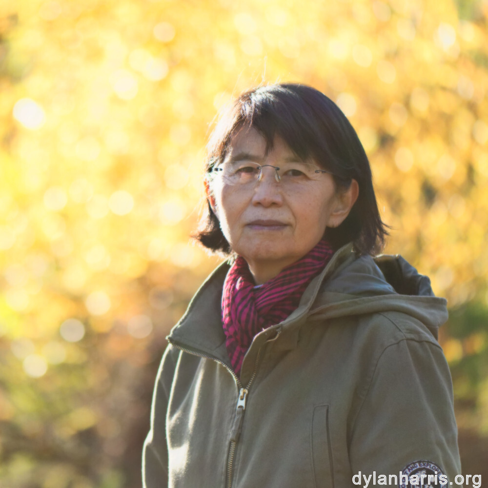 image: This is &lsquo;L (xliii) 1&rsquo;.