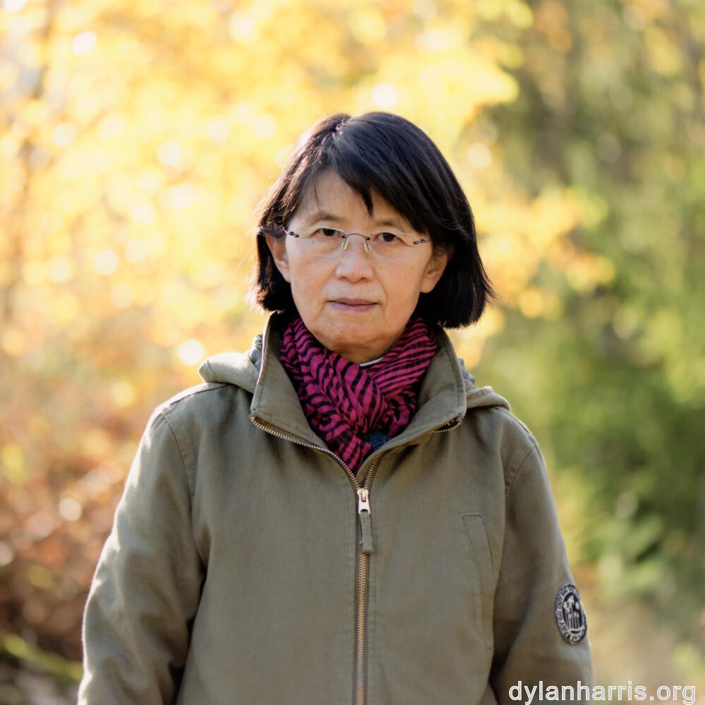 image: This is &lsquo;L (xliii) 3&rsquo;.