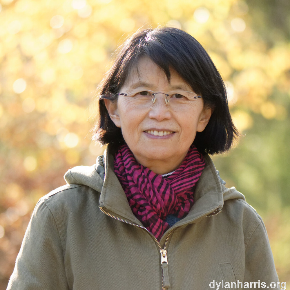 image: This is &lsquo;L (xliii) 4&rsquo;.