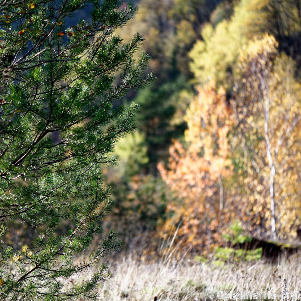 image: This is &lsquo;rumelange 1&rsquo;.