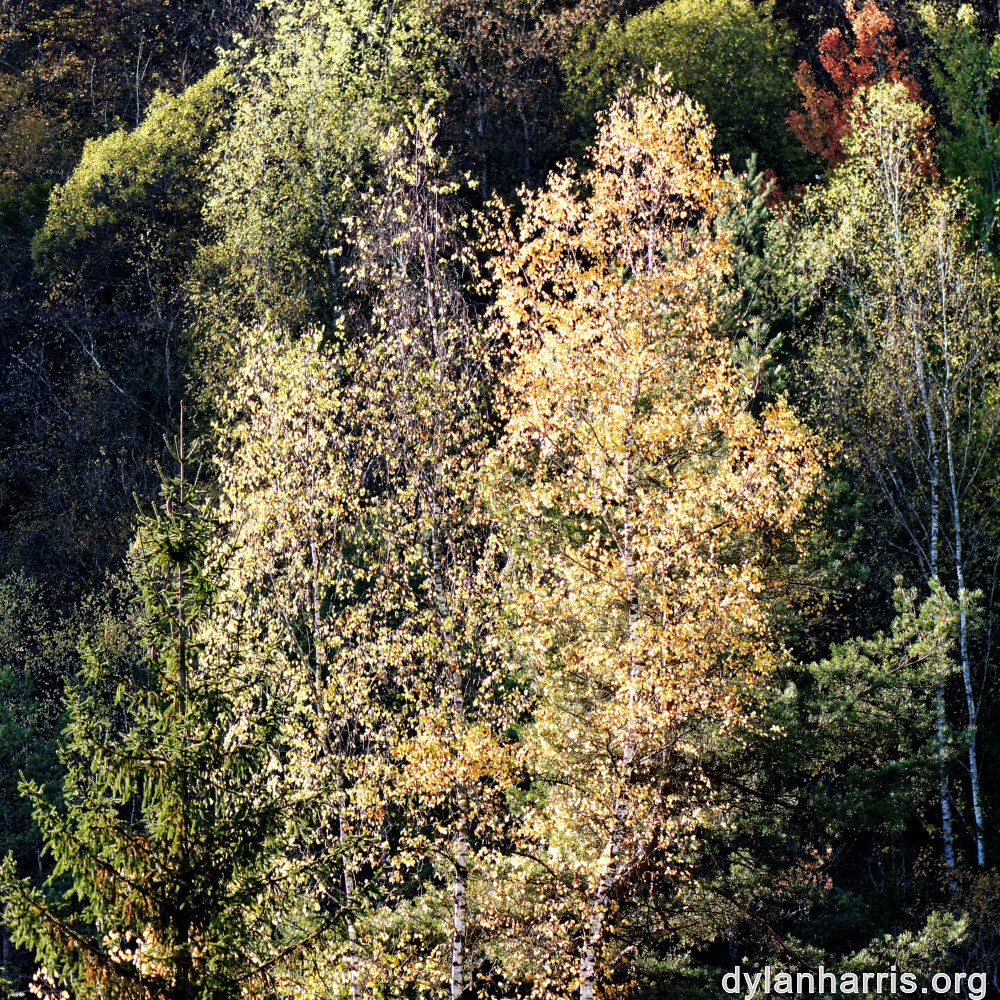 image: This is &lsquo;rumelange 2&rsquo;.