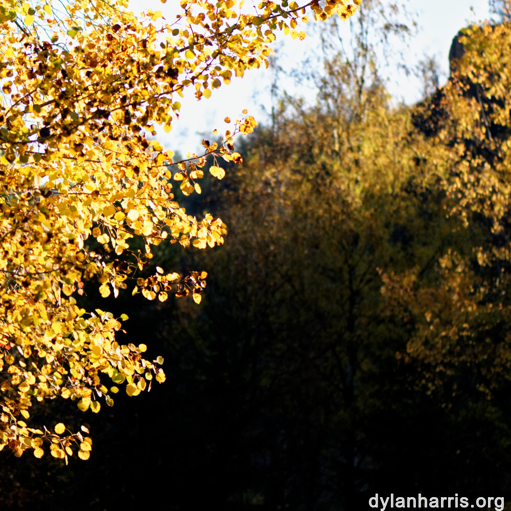 image: This is &lsquo;rumelange 3&rsquo;.