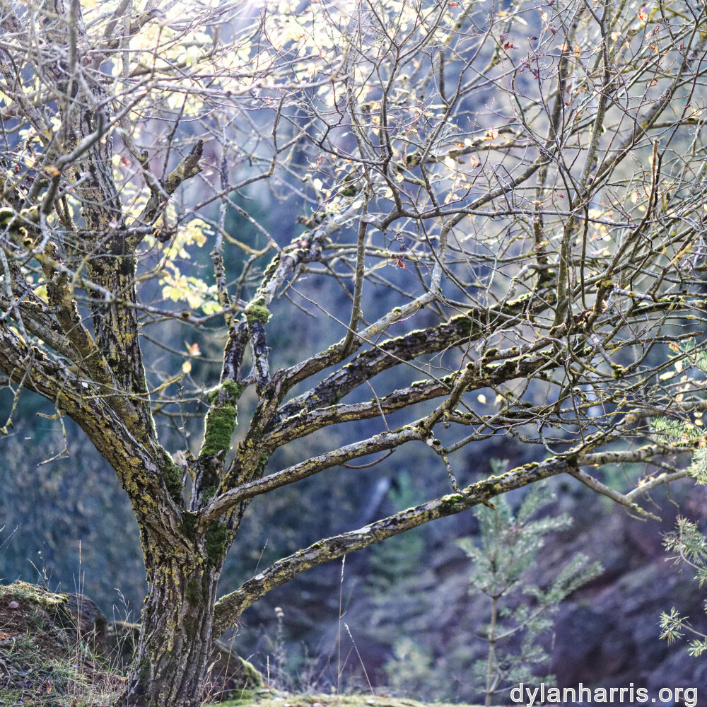 image: This is &lsquo;rumelange 4&rsquo;.