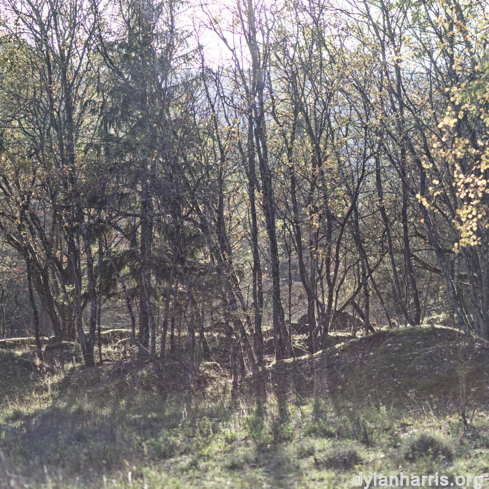 image: This is &lsquo;rumelange 5&rsquo;.