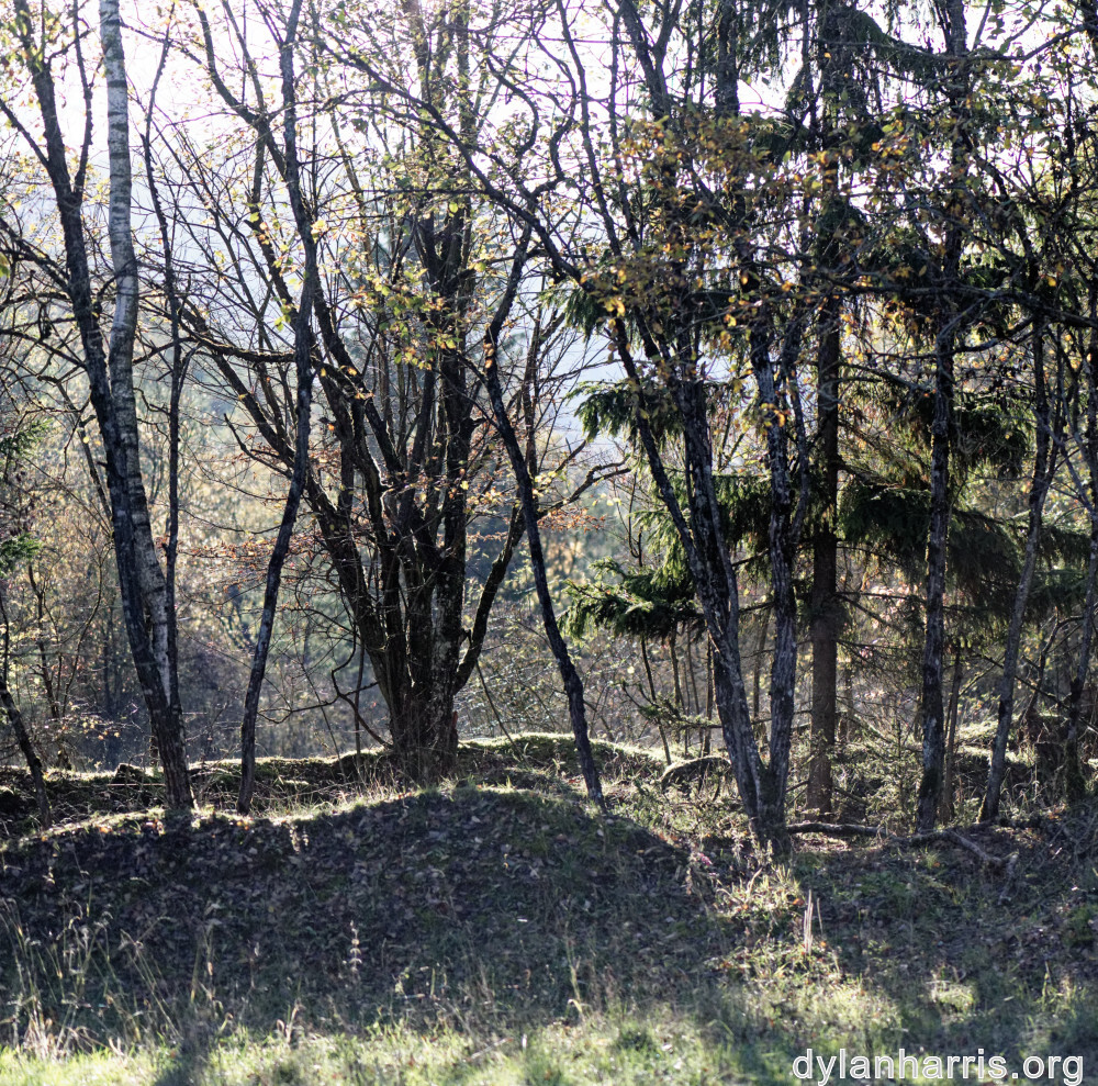 image: This is &lsquo;rumelange 6&rsquo;.