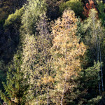 image: Image from the photoset &lsquo;rumelange (xxiv)&rsquo;.