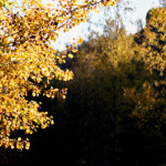 image: Image from the photoset &lsquo;rumelange (xxiv)&rsquo;.