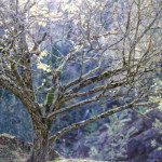 image: Image from the photoset &lsquo;rumelange (xxiv)&rsquo;.