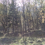 image: Image from the photoset &lsquo;rumelange (xxiv)&rsquo;.