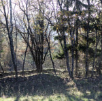 image: Image from the photoset &lsquo;rumelange (xxiv)&rsquo;.