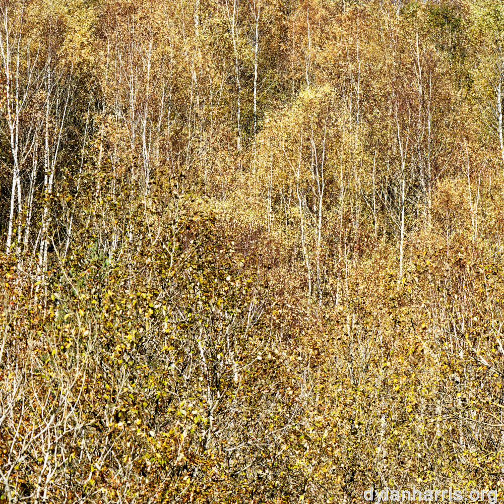 image: This is &lsquo;rumelange 1&rsquo;.