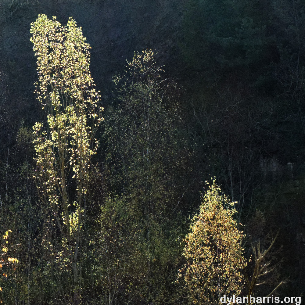 image: This is &lsquo;rumelange 2&rsquo;.