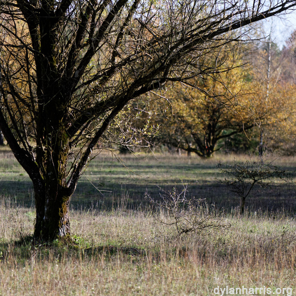 image: This is &lsquo;rumelange 3&rsquo;.