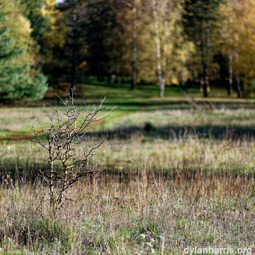 image: This is &lsquo;rumelange 4&rsquo;.