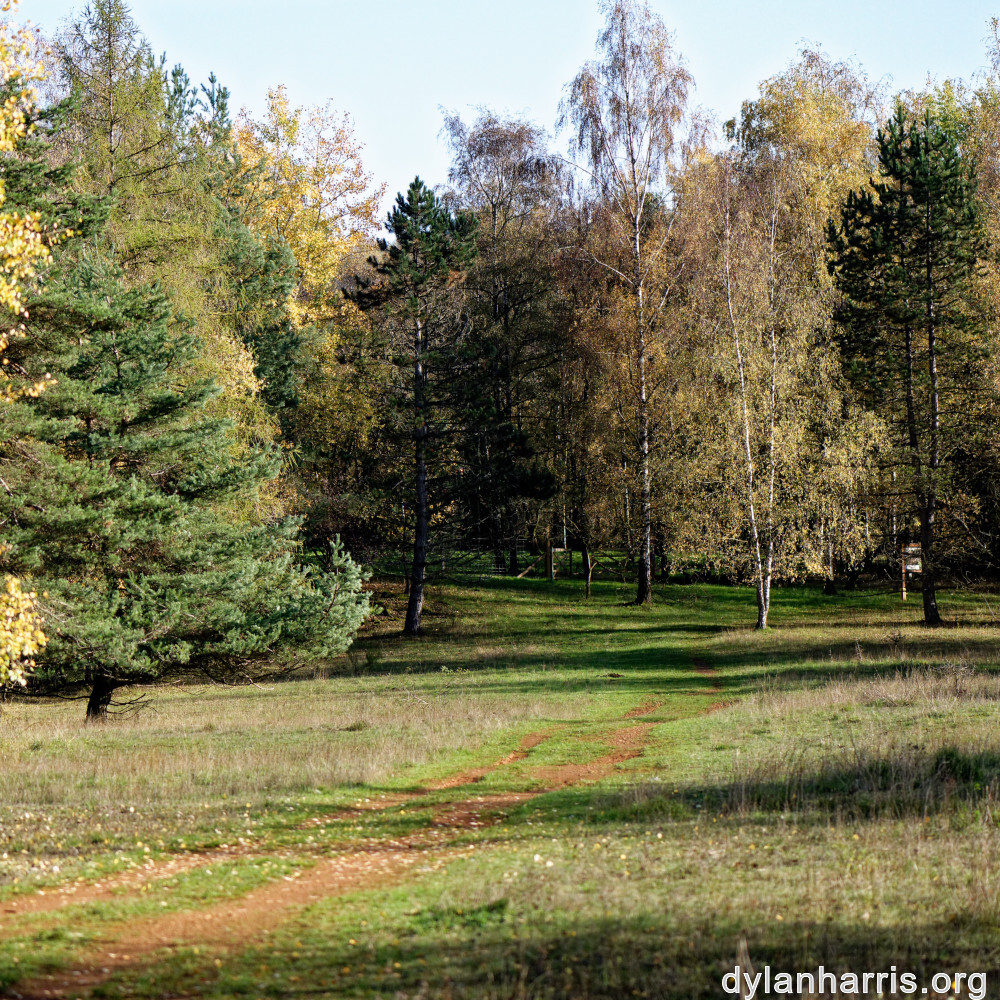 image: This is &lsquo;rumelange 5&rsquo;.