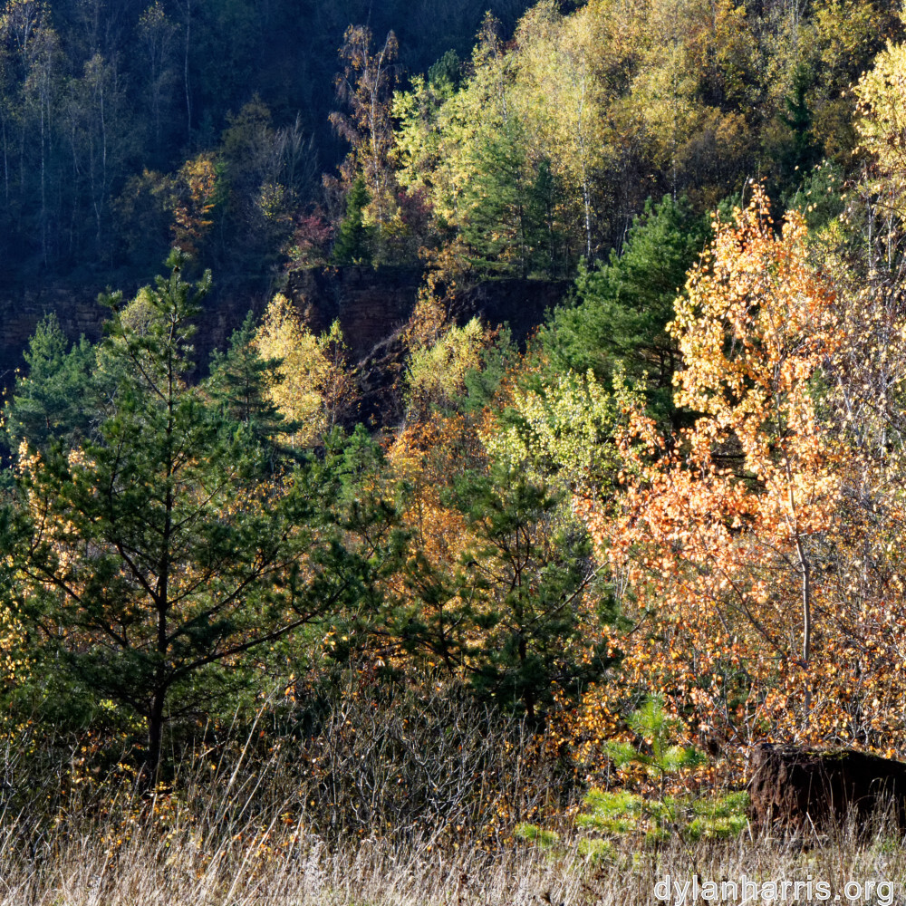 image: This is &lsquo;rumelange 6&rsquo;.