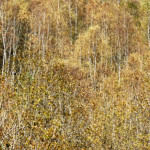 image: Image from the photoset &lsquo;rumelange (xxv)&rsquo;.