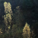 image: Image from the photoset &lsquo;rumelange (xxv)&rsquo;.