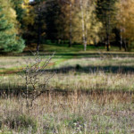 image: Image from the photoset &lsquo;rumelange (xxv)&rsquo;.