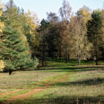 image: Image from the photoset &lsquo;rumelange (xxv)&rsquo;.