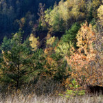 image: Image from the photoset &lsquo;rumelange (xxv)&rsquo;.