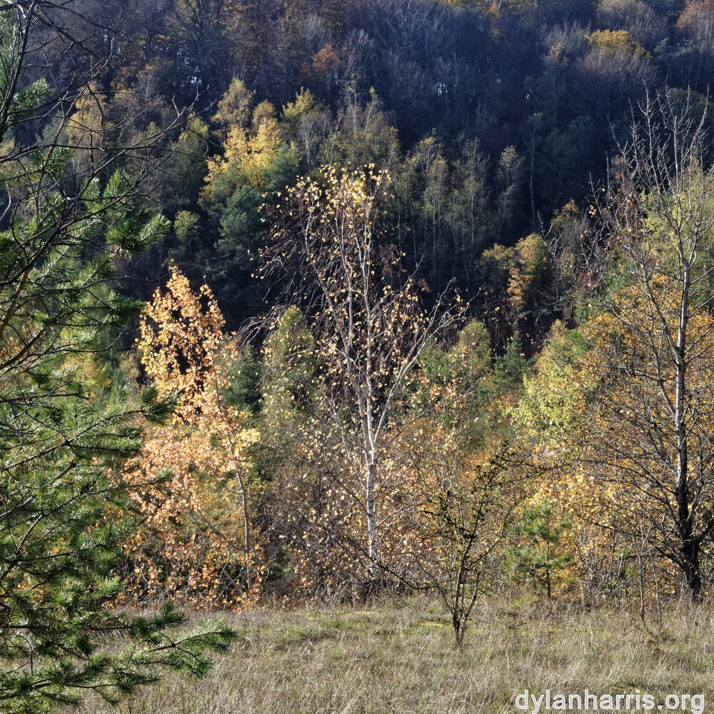 image: This is &lsquo;rumelange 5&rsquo;.