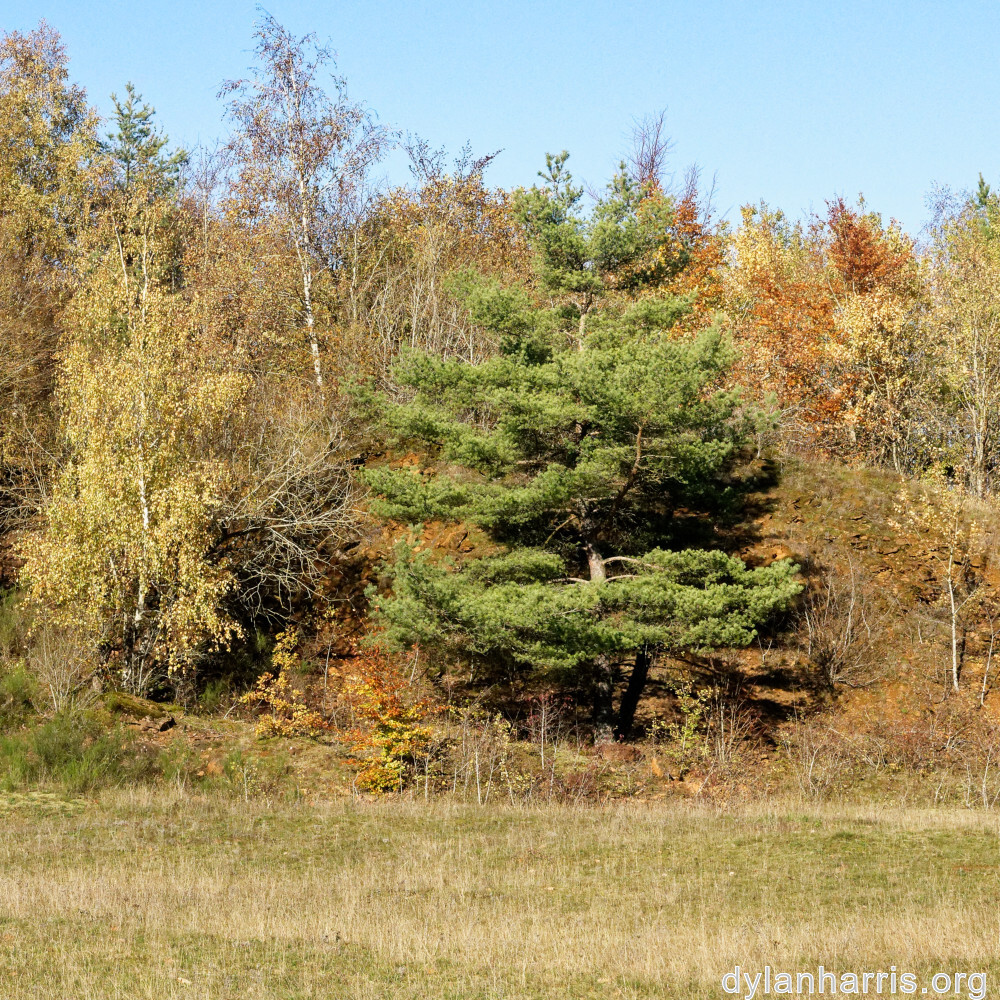 image: This is &lsquo;rumelange 6&rsquo;.