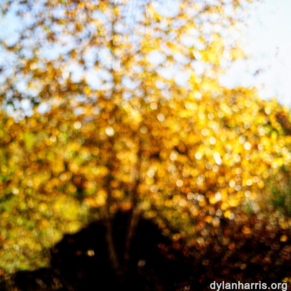 image: This is &lsquo;rumelange 8&rsquo;.