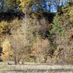 image: Image from the photoset &lsquo;rumelange (xxxvi)&rsquo;.