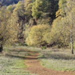 image: Image from the photoset &lsquo;rumelange (xxxvi)&rsquo;.