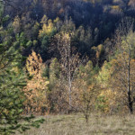 image: Image from the photoset &lsquo;rumelange (xxxvi)&rsquo;.