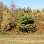 image: Image from the photoset &lsquo;rumelange (xxxvi)&rsquo;.