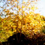 image: Image from the photoset &lsquo;rumelange (xxxvi)&rsquo;.