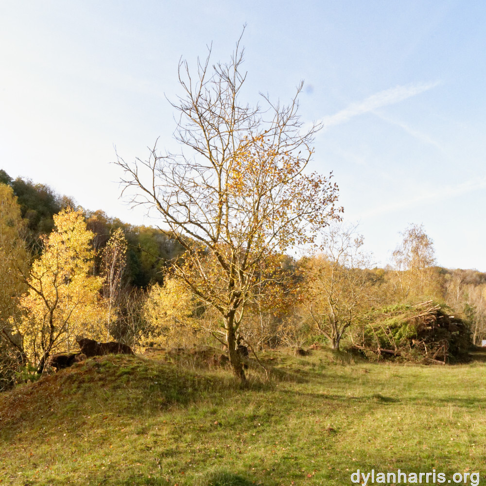 image: This is &lsquo;rumelange 1&rsquo;.