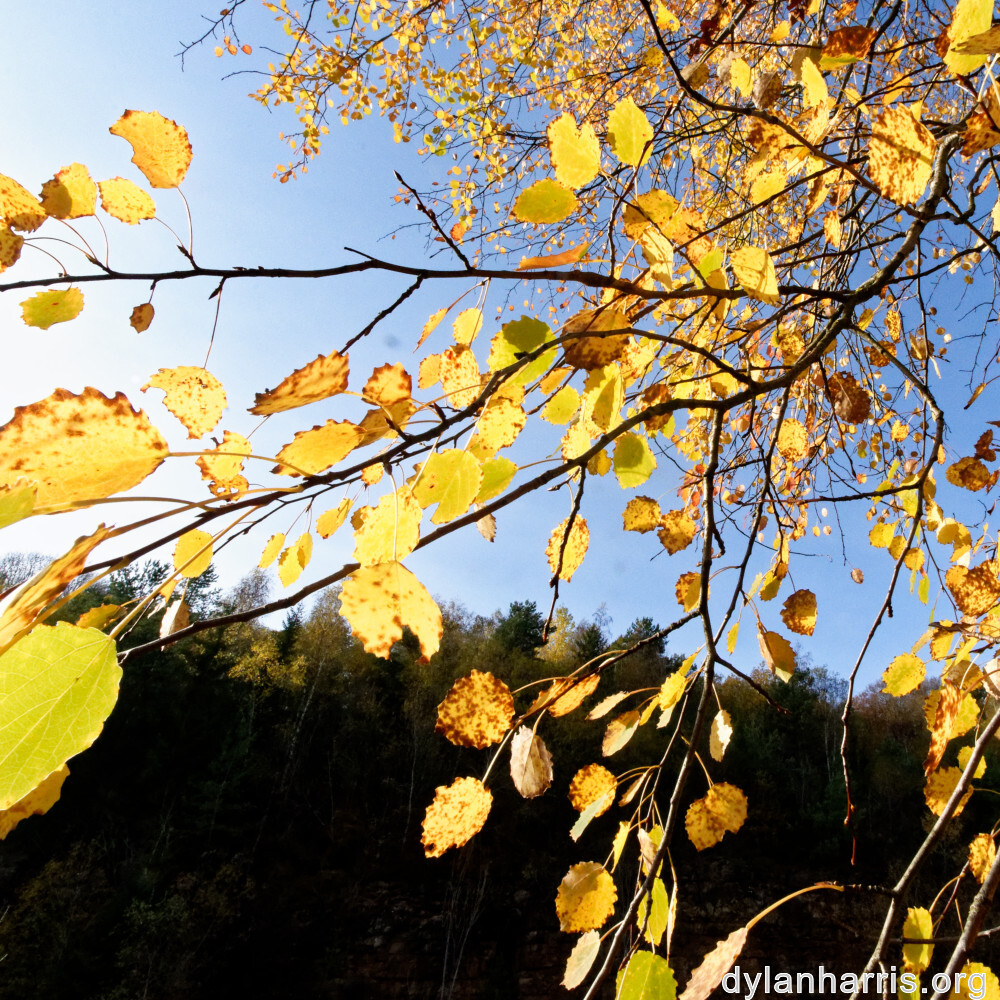 image: This is &lsquo;rumelange 2&rsquo;.