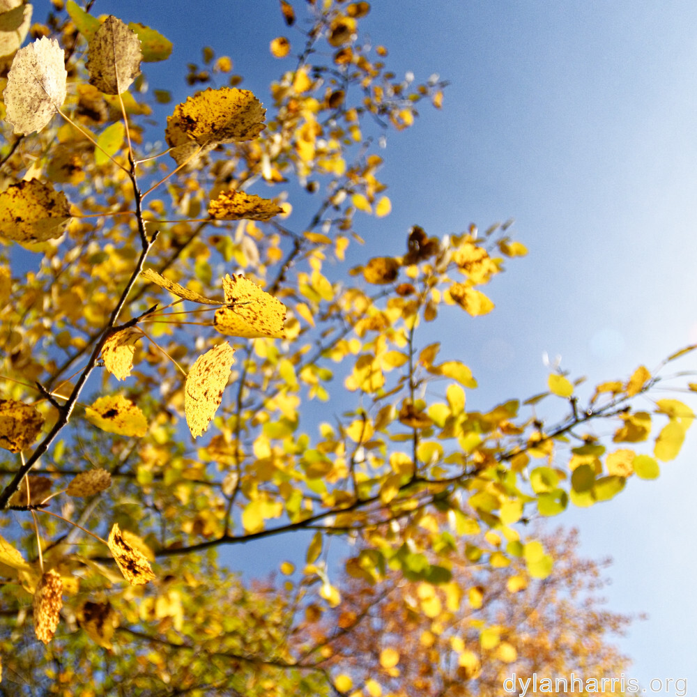 image: This is &lsquo;rumelange 3&rsquo;.