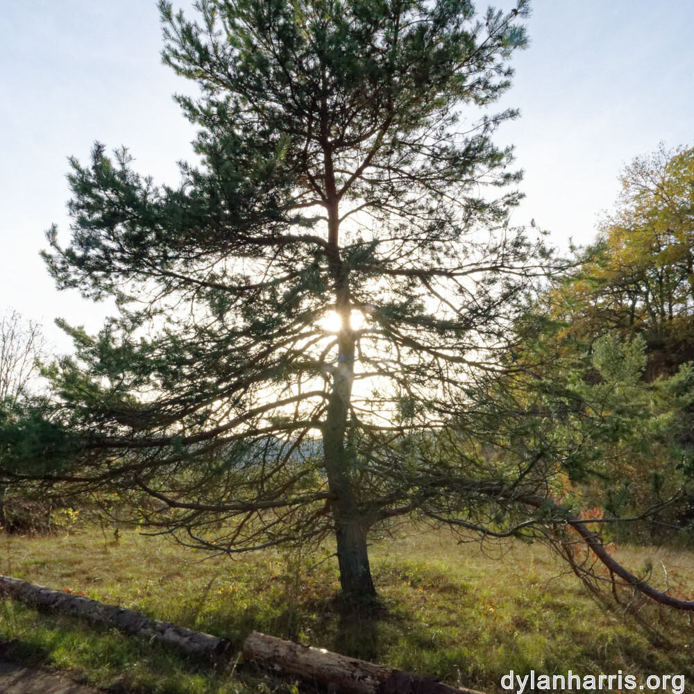 image: This is &lsquo;rumelange 4&rsquo;.