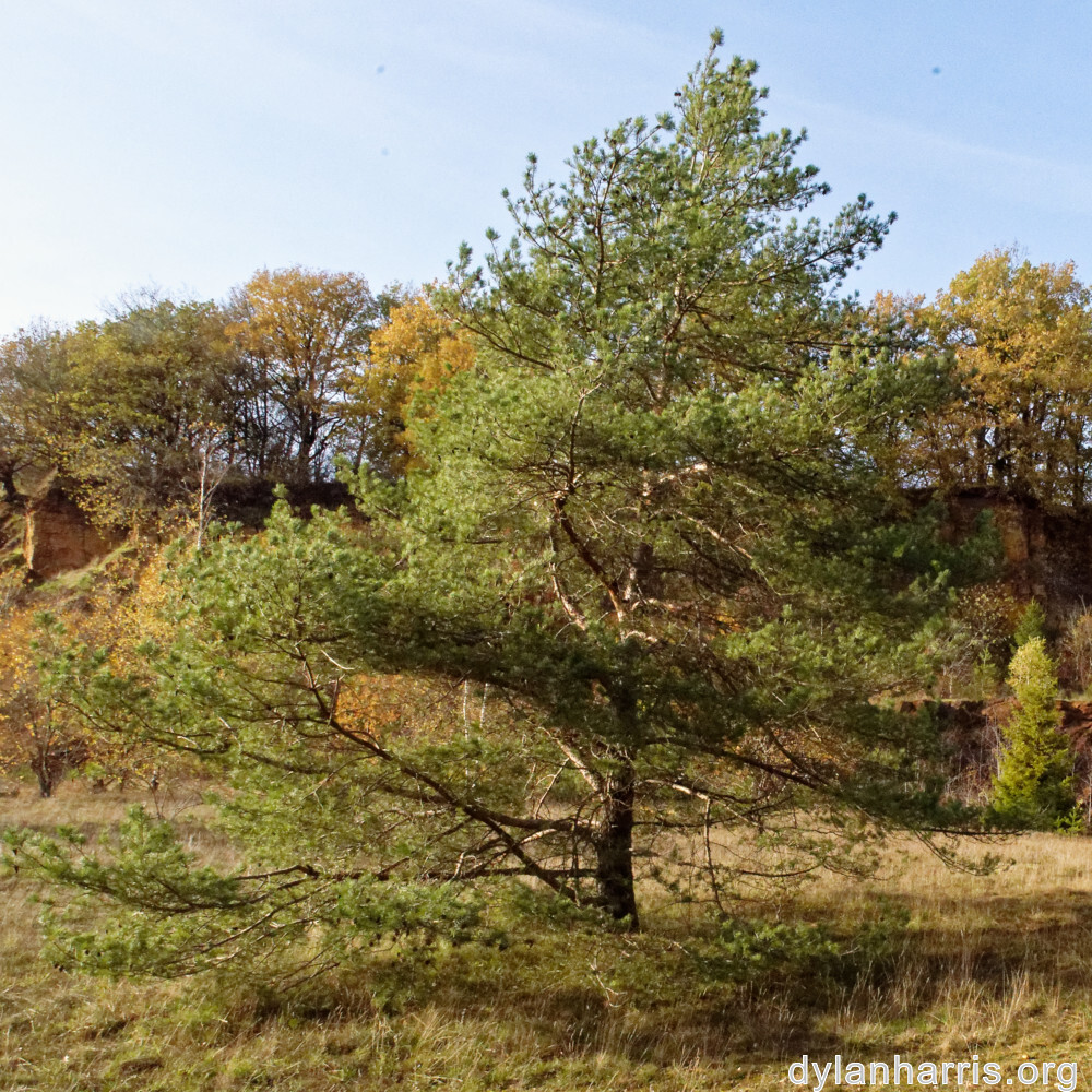 image: This is &lsquo;rumelange 6&rsquo;.