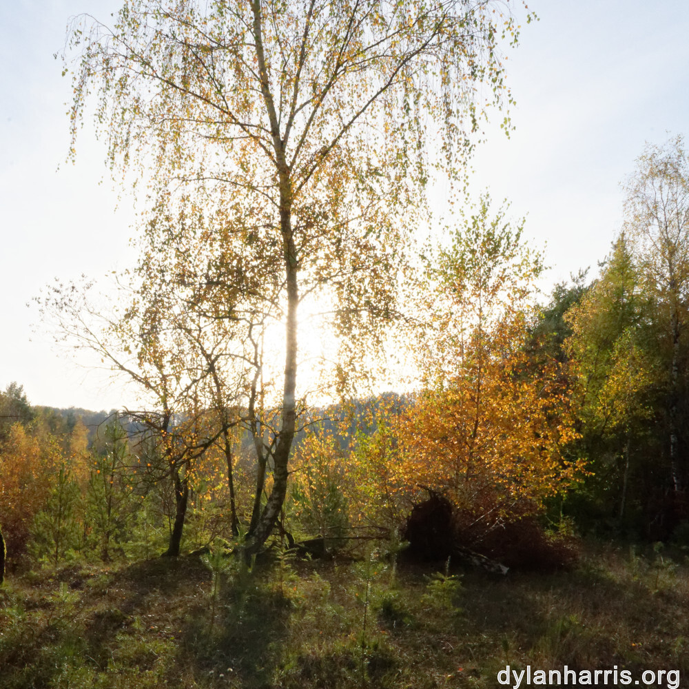 image: This is &lsquo;rumelange 8&rsquo;.