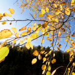 image: Image from the photoset &lsquo;rumelange (xxvii)&rsquo;.