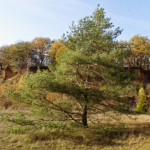 image: Image from the photoset &lsquo;rumelange (xxvii)&rsquo;.