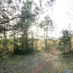 image: Image from the photoset &lsquo;rumelange (xxvii)&rsquo;.