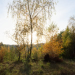 image: Image from the photoset &lsquo;rumelange (xxvii)&rsquo;.