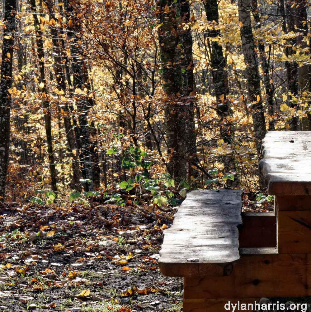 image: This is &lsquo;terres rouges (xxi) 1&rsquo;.